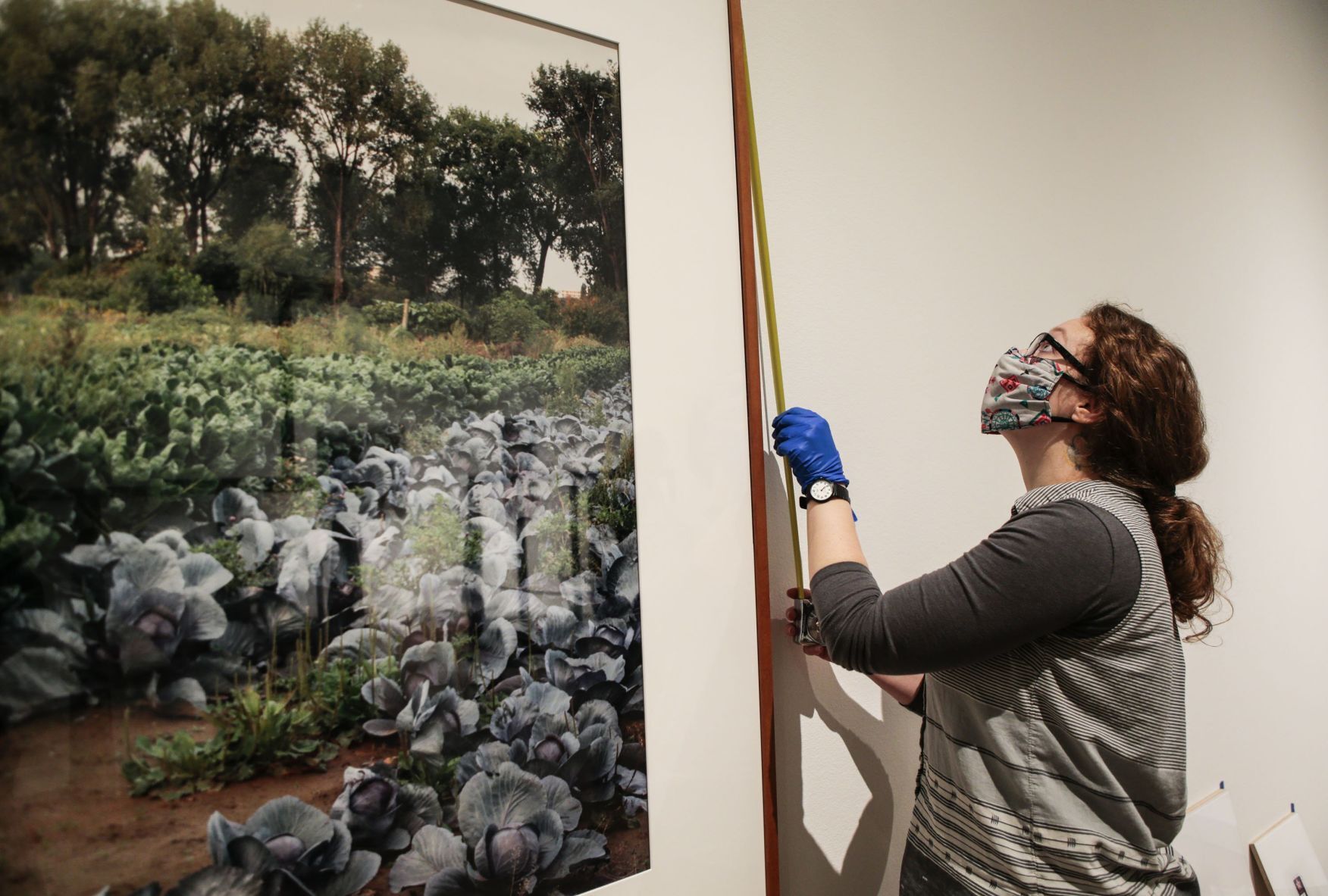 New Exhibition at St. Louis Art Museum